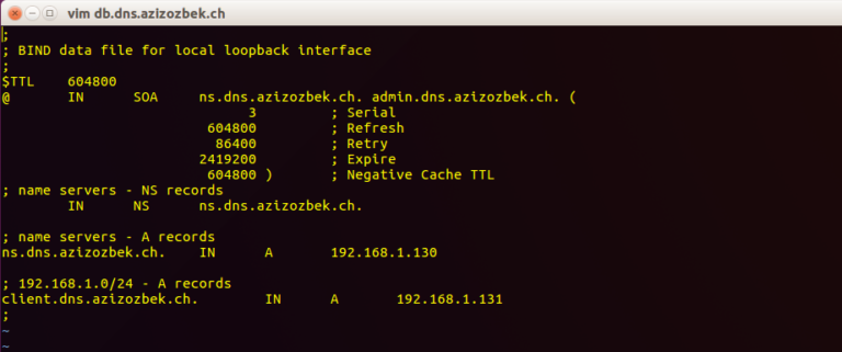 ubuntu bind9 forward-lookup-zone