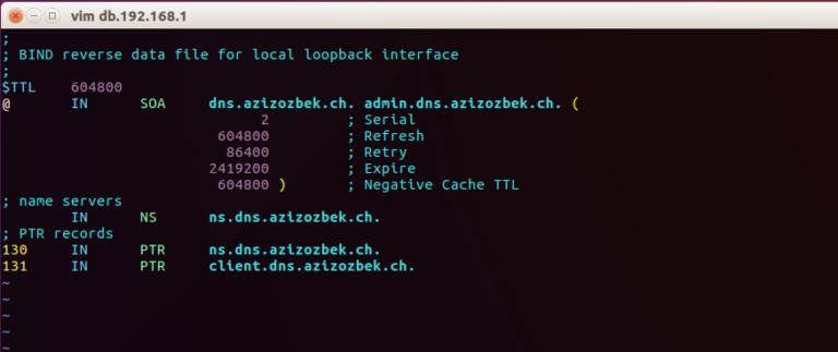 ubuntu bind9 reserve lookup zone