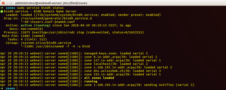 ubuntu bind9 server status
