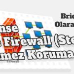 opnsense-bridge-firewall-kurulumu