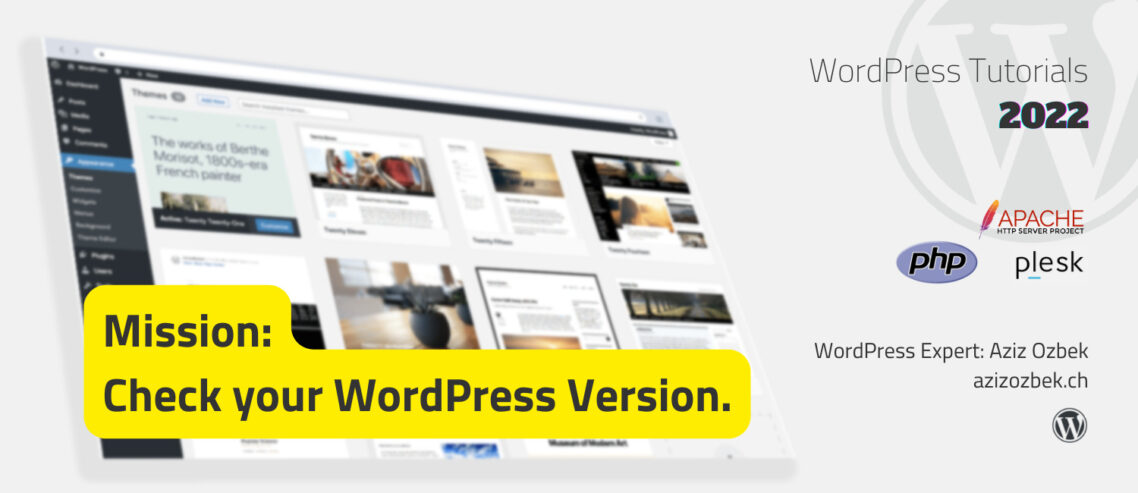 How to check the WordPress Version