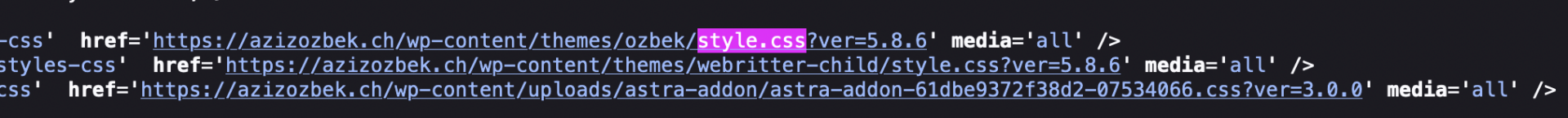 Style CSS in WordPress Quellcode