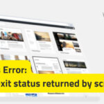 WordPress Error Non-zero exit status returned by script